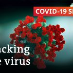 What scientists can learn from the coronavirus pandemic | COVID-19 Special