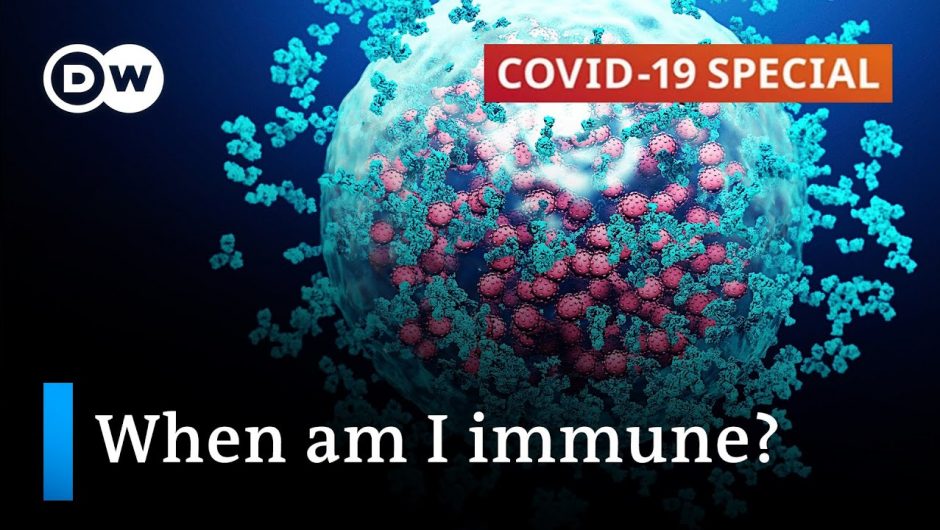 What we know about our immune system | Covid-19 Special