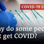 How about getting vaccinated again against coronavirus? | COVID-19 Special