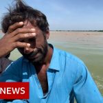 Pakistan floods: Time running out for families in Sindh – BBC News