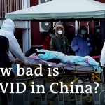 What can China do to slow its post-lockdown COVID surge? | DW News