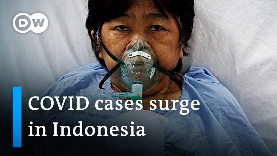 Red Cross warns Indonesia 'on the edge of a COVID-19 catastrophe' | DW News