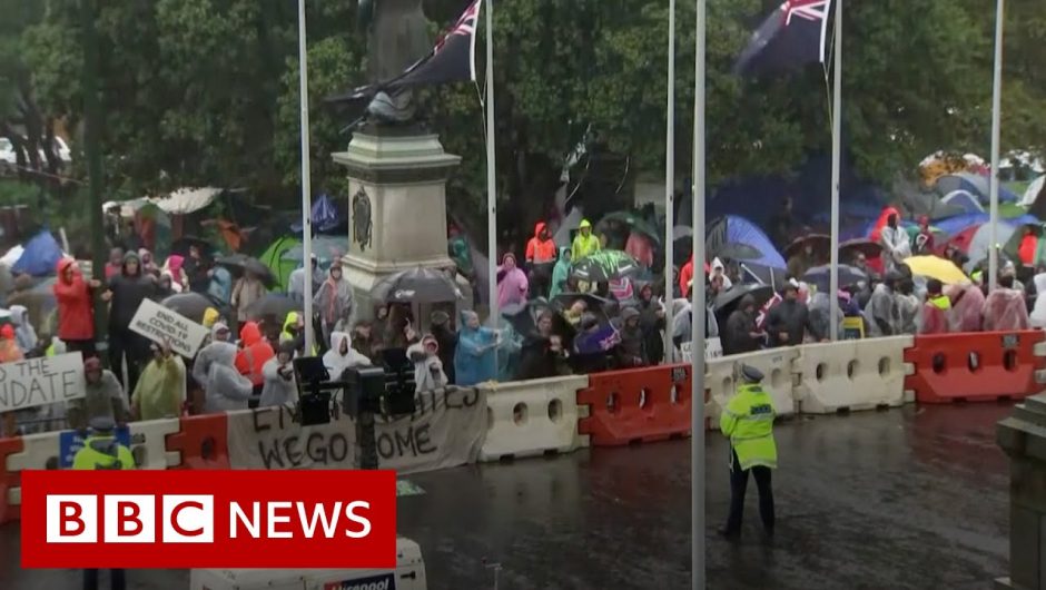 New Zealand blasts James Blunt and Baby Shark at Covid rule protesters – BBC News