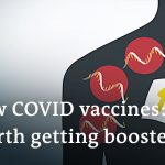 New Covid-19 omicron vaccines: Safety, efficacy, and how they can help | DW News