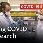 Long COVID research update: Blood abnormalities could cause Long COVID | COVID-19 Special