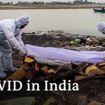 India: Bodies of suspected COVID-19 victims wash up on Ganges riverbanks | DW News