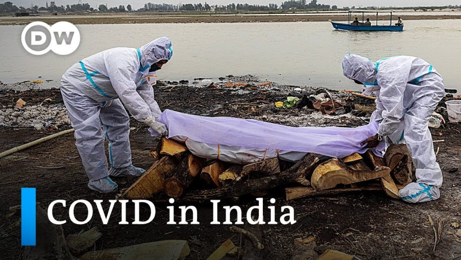 India: Bodies of suspected COVID-19 victims wash up on Ganges riverbanks | DW News