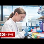 Covid-19: Oxford vaccine proves highly effective – BBC News