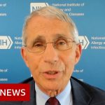 Trump-touted Covid-19 drug ineffective says Fauci – BBC News