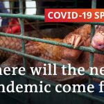 Zoonotic diseases: Can we prevent the next pandemic? | Covid-19 Special