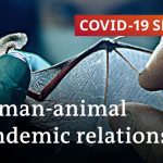 How COVID-19 impacts human-animal coexistence | COVID-19 Special