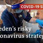 The Swedish model for fighting COVID-19 | COVID-19 Special