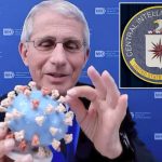 Fauci ​​secretly went to CIA HQ to ‘influence’ COVID-19 origins probe, House Republican alleges