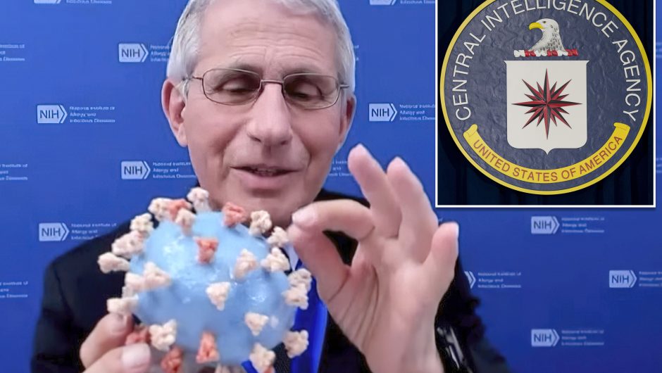 Fauci ​​secretly went to CIA HQ to ‘influence’ COVID-19 origins probe, House Republican alleges