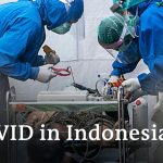 Delta variant leads to record high COVID cases and deaths in Indonesia | DW News