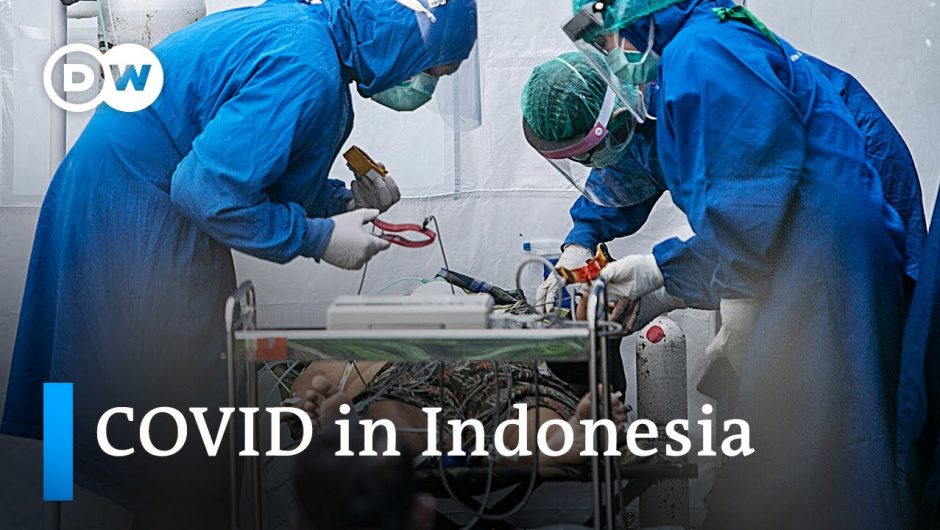 Delta variant leads to record high COVID cases and deaths in Indonesia | DW News