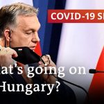 Hungary reopens amid spike in COVID deaths | COVID-19 Special