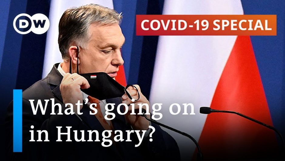 Hungary reopens amid spike in COVID deaths | COVID-19 Special