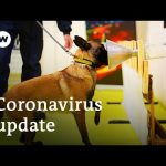 Cases surge in Brazil +++ Can dogs sniff out COVID-19? | Coronavirus update