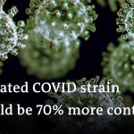 Countries impose travel bans to isolate Britain's mutated coronavirus strain | DW News