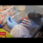 Thousands of people with coronavirus can not be contacted by new Test and Trace system – BBC News