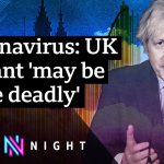 UK coronavirus variant 'may be more deadly’: What now for the UK? – BBC Newsnight