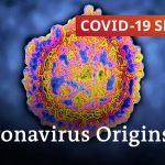 How forensic researchers track down the origins of SARS-CoV2 | COVID-19 Special